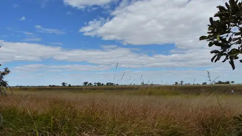 k-P1090182.JPG