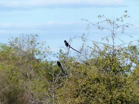 k-P1090213.JPG