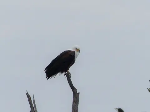 k-P1090349.JPG