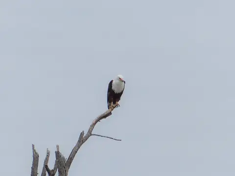 k-P1090358.JPG
