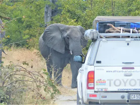 k-P1090375.JPG