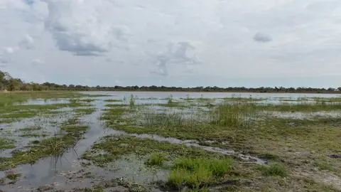 k-P1090379.JPG