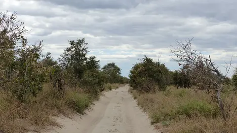 k-P1090717.JPG