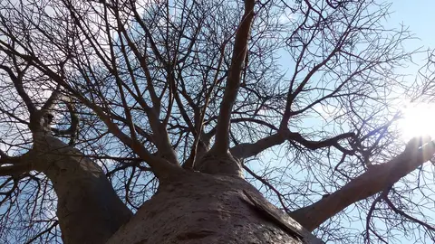 k-P1090962.JPG