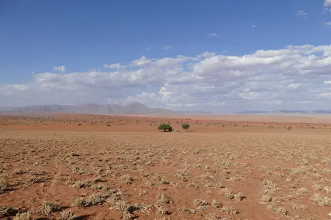 k-P1110213.JPG