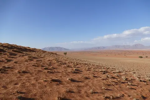 k-P1110217.JPG