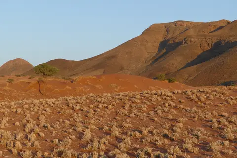k-P1110259.JPG