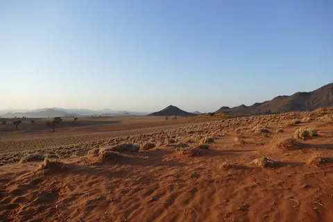 k-P1110262.JPG