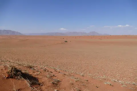 k-P1110292.JPG