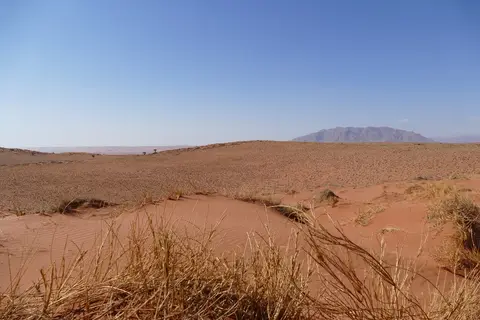 k-P1110308.JPG