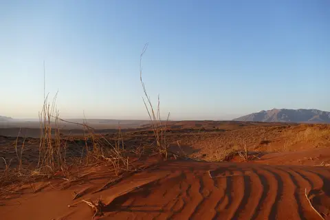 k-P1110321.JPG