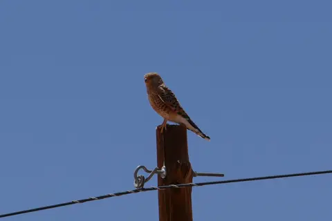 k-P1110964(1).jpg