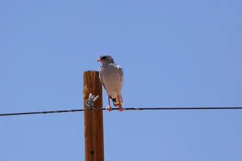 k-P1110967.JPG