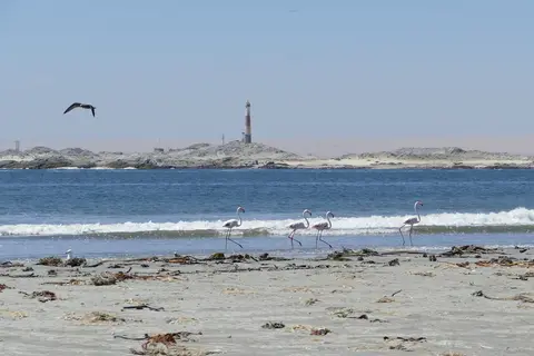 k-P1120133.JPG
