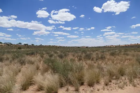 k-P1120447.JPG