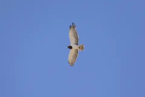 k-P1120543.JPG