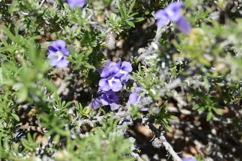 k-P1120749.JPG