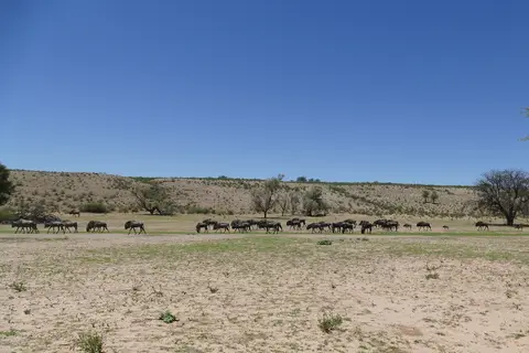 k-P1120758.JPG