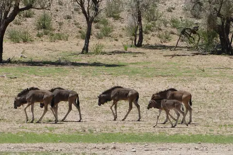 k-P1120759.JPG