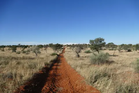 k-P1120788.JPG