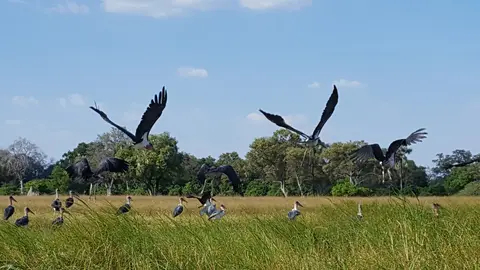 20160426_154016.jpg
