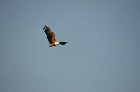 DSC_0254.JPG
