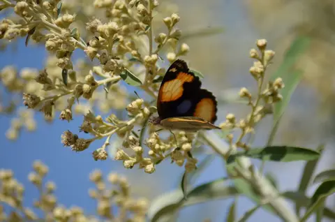 DSC_0403.JPG