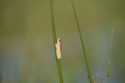 DSC_0660.JPG