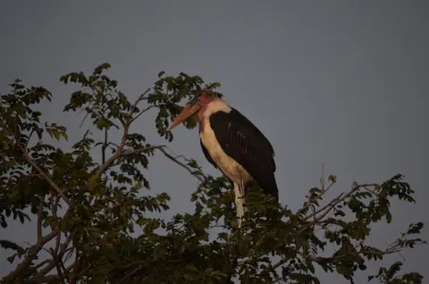 DSC_0943.JPG
