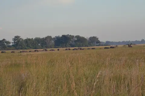 DSC_1008.JPG