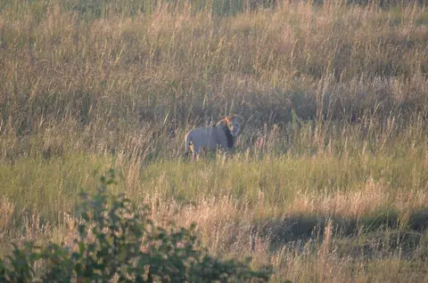 DSC_1067.JPG