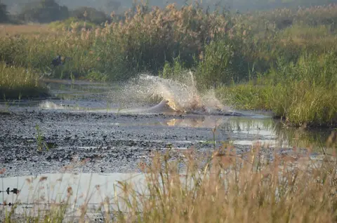 DSC_1081.JPG