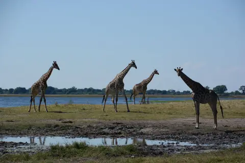 G71_3866.JPG