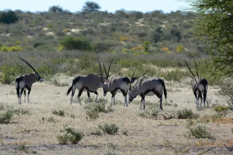 G71_4467.JPG