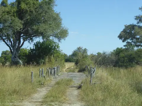 P1050077-2.JPG