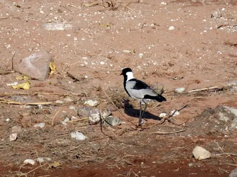 P1070567.JPG
