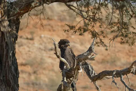 P1100702.JPG