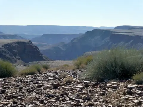 h3511804.JPG