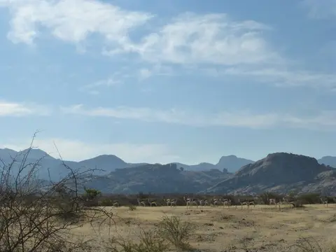 h7575189.JPG