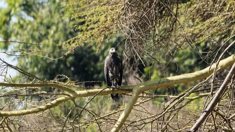 200903079.jpg
