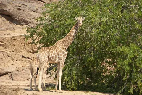 216Namibia2011_07_22.jpg