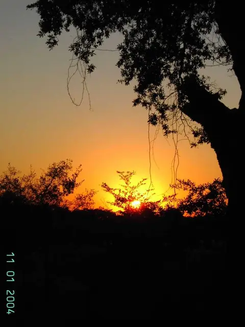 PICT0580.JPG