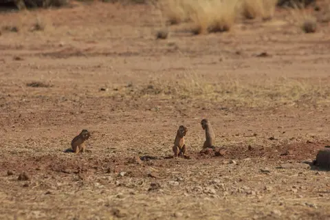 011_2016-Namibia-9009.jpg
