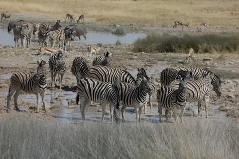 2016-Namibia-0046-2.jpg