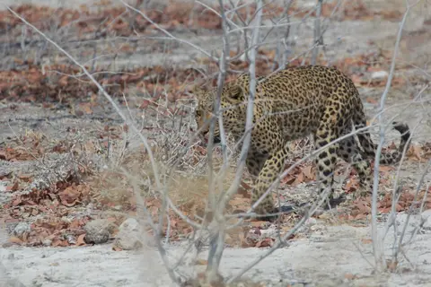 2016-Namibia-0098.jpg