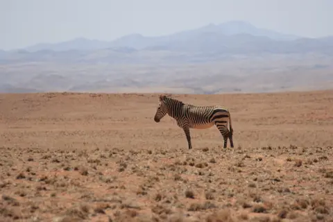 2016-Namibia-0165.jpg
