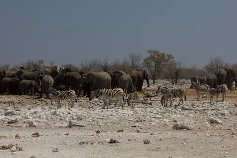 2016-Namibia-0176-2.jpg