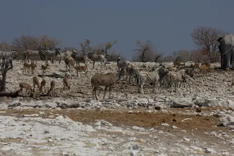2016-Namibia-0177-2.jpg