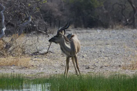 2016-Namibia-0188-2.jpg