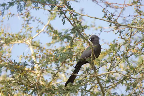 2016-Namibia-0203-2.jpg